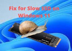 Correção para SSD lento no Windows 11