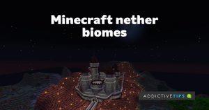 Minecraft Nether Biomes: что это такое и почему вас это должно волновать?