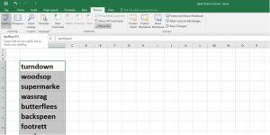 วิธีตรวจสอบการสะกดใน Excel
