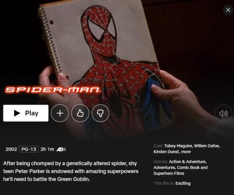 Cómo ver Spider-Man: Into the Spider-Verse en Netflix desde cualquier lugar