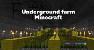 Underground Farm in Minecraft: Alles, was Sie wissen müssen