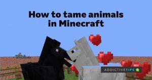Comment apprivoiser les animaux dans Minecraft