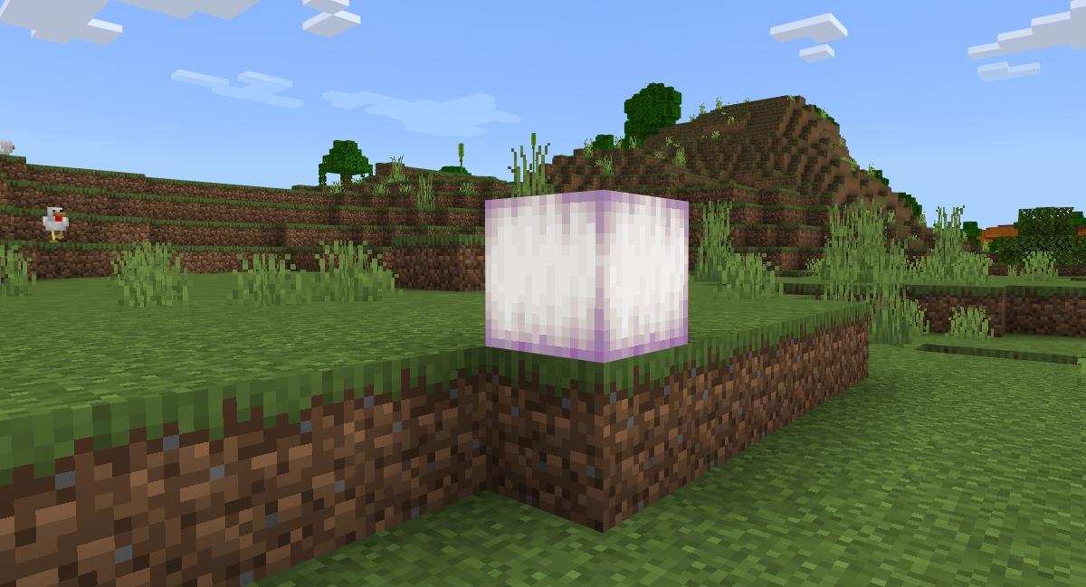 Minecraft Frogs: วิธีหาพวกมัน