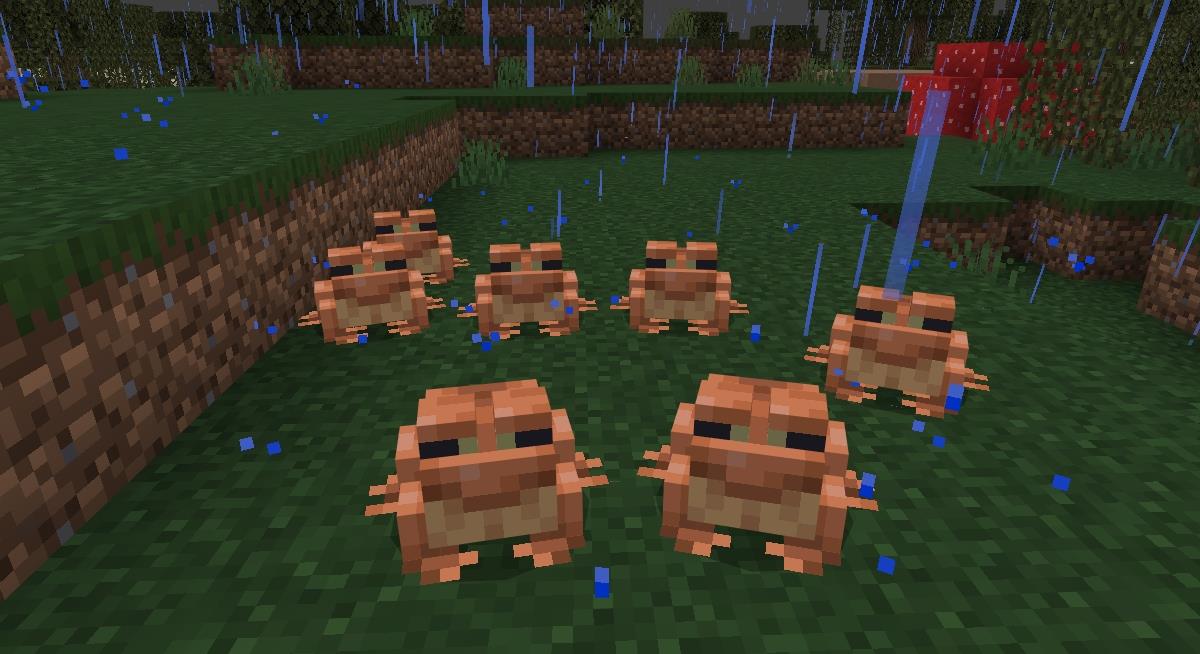 Rane di Minecraft: come trovarle