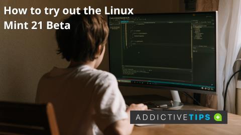 Cómo probar Linux Mint 21 Beta