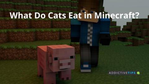 O que os gatos comem no Minecraft?