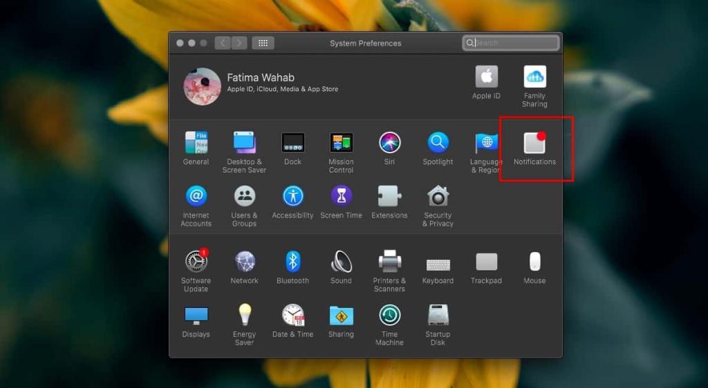 Come disabilitare le notifiche per unapp su macOS