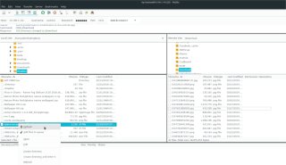 Cara menginstal FileZilla di Linux