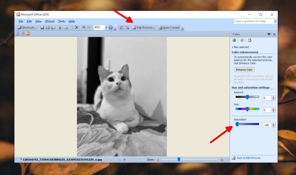 Cara membuat foto hitam putih di Windows 10