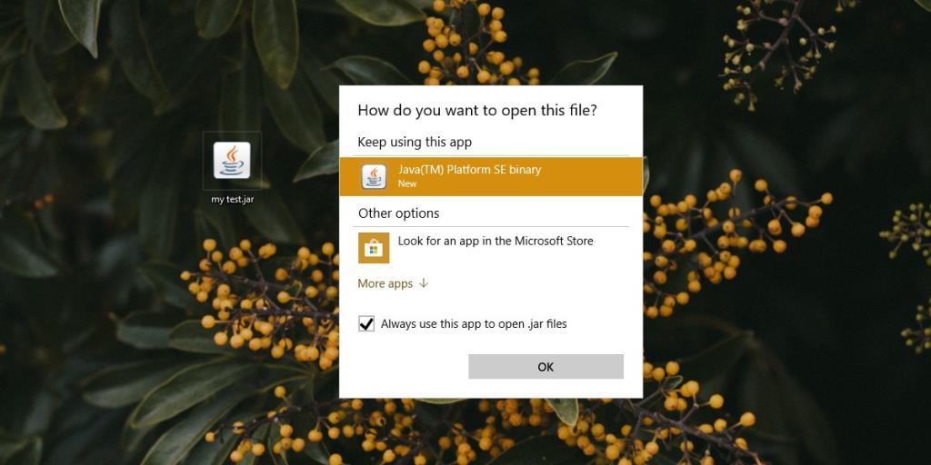 Cara membuka file Jar di Windows 10 [TUTORIAL]