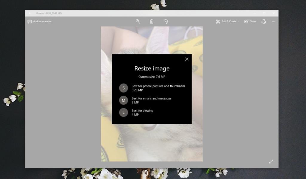 Como redimensionar fotos no aplicativo Fotos no Windows 10