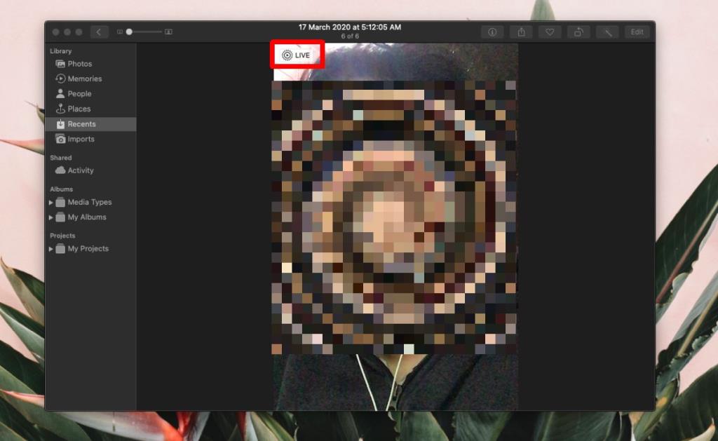 Cara mengambil foto langsung di FaceTime di macOS