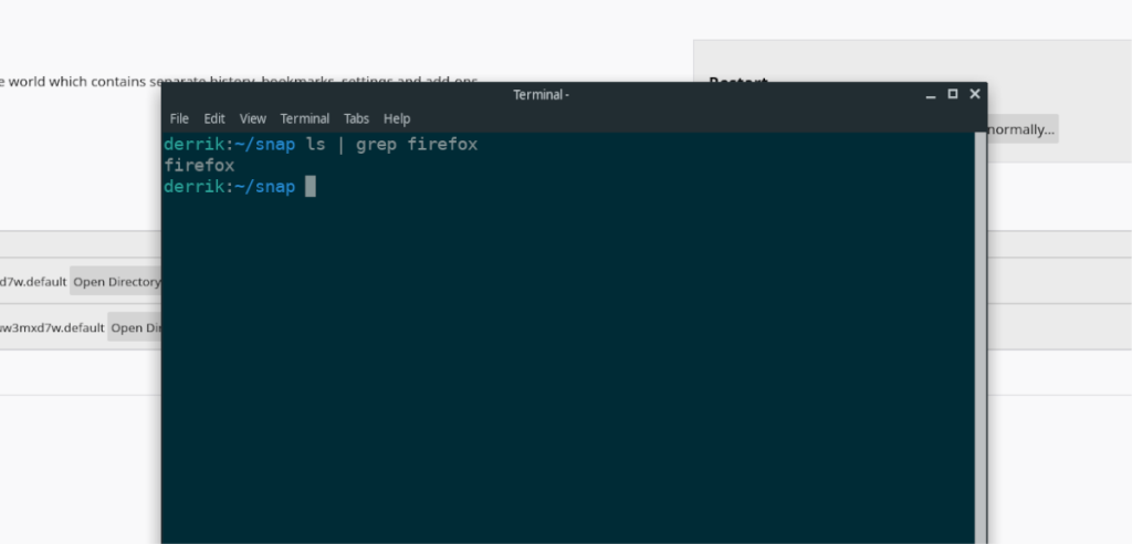 Cara mencadangkan pengaturan Firefox Snap di Linux