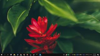 Cara mengaktifkan / menonaktifkan flash tangkapan layar di Windows 10