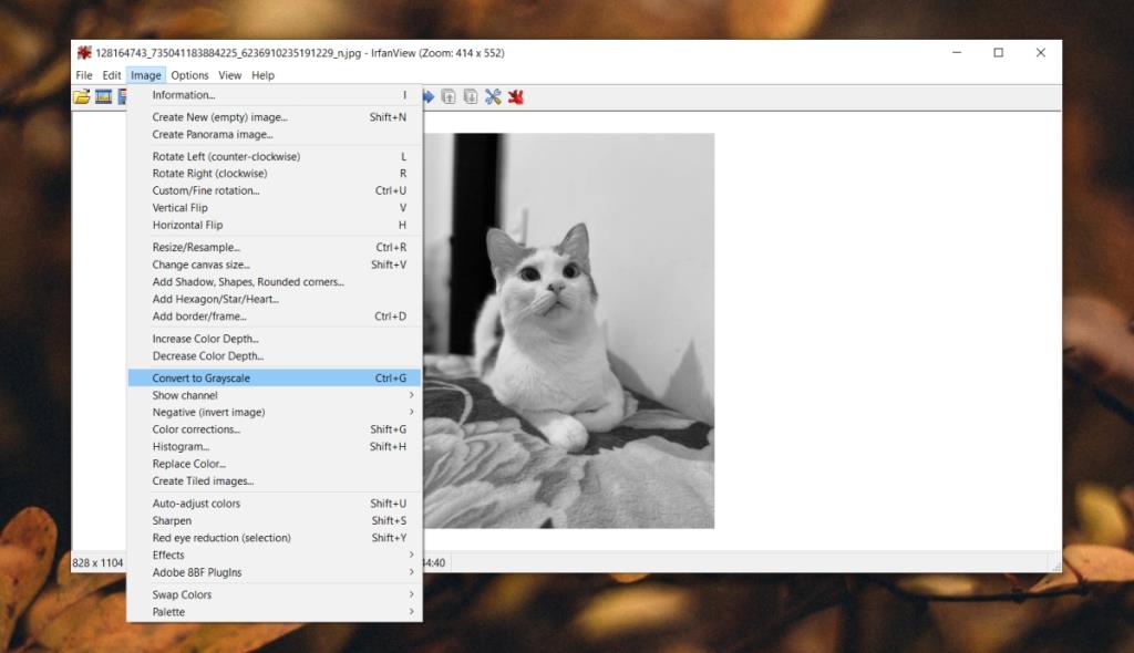 Cara membuat foto hitam putih di Windows 10