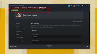 Cara menemukan ID Steam Anda