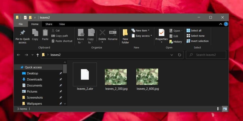 Cara menggunakan kuas Photoshop di GIMP pada Windows 10