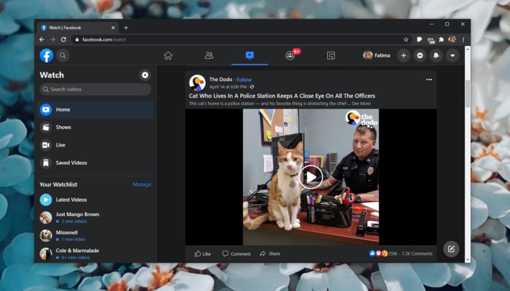 Видео с Facebook не воспроизводятся в Chrome, Firefox, Safari (решено)