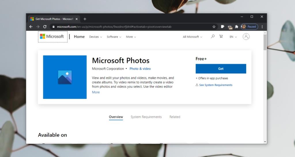 Aplicativo de fotos do Windows 10 ausente? Veja como reinstalar o aplicativo Fotos