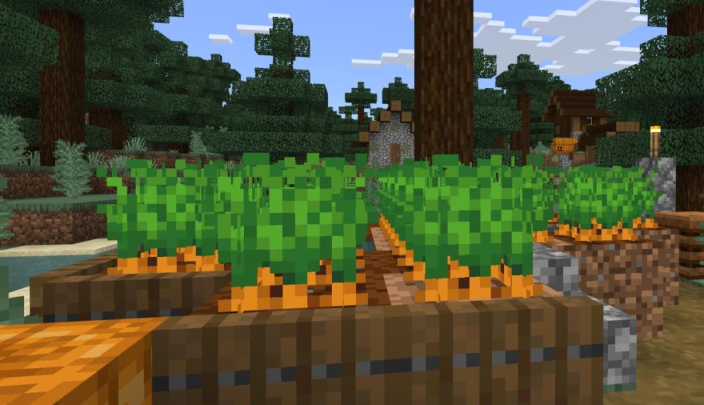 Cara membiakkan kuda di Minecraft