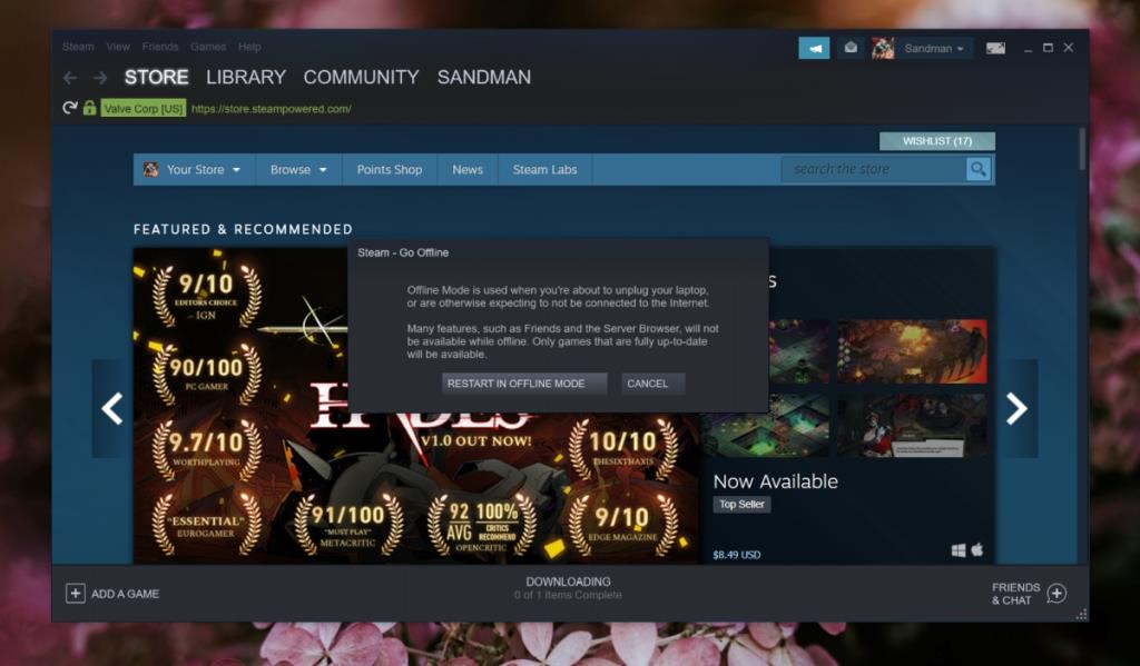 Cara memulai Steam dalam mode Offline di Windows 10