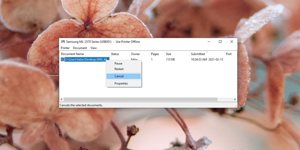 Pinter Offline [FIX] – Mengapa Printer Saya Offline di Windows 10?