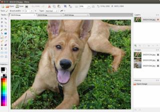 Cara menginstal editor gambar Pinta di Linux