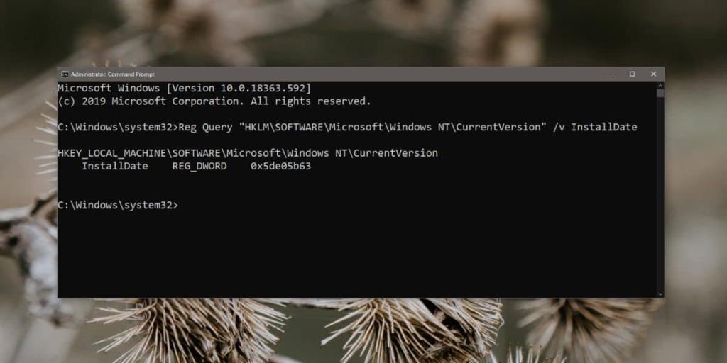 Cara mencari nilai registri dari Command Prompt di Windows 10