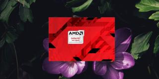 Как исправить AMD Catalyst Control Center не открывается в Windows 10