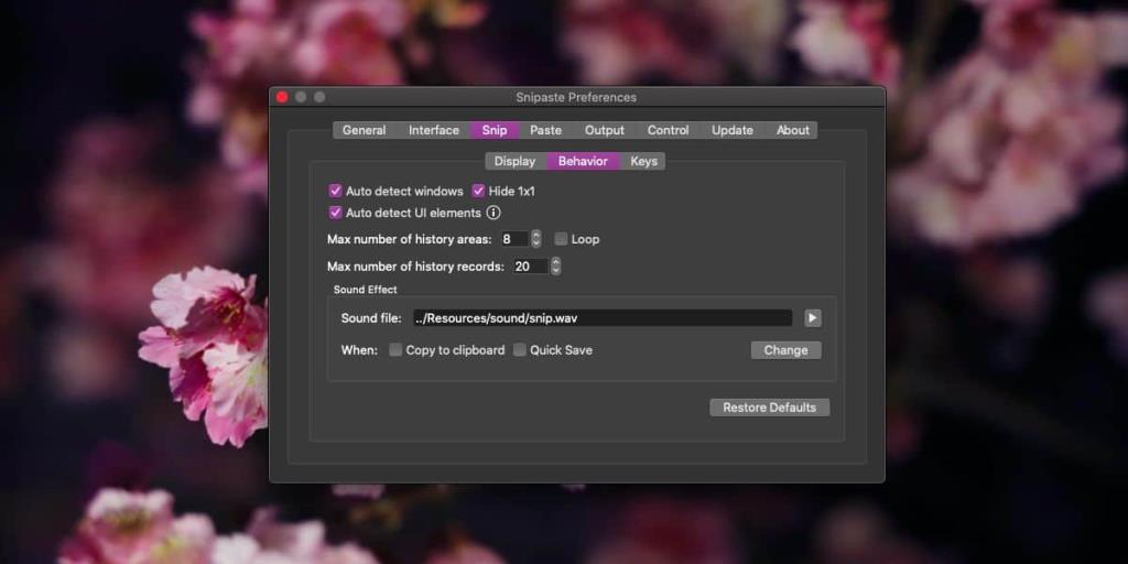 Cara screenshot elemen UI individual di macOS