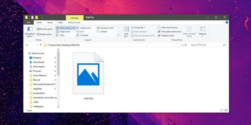 So aktivieren Sie Miniaturansichten für RAW-Bilder unter Windows 10