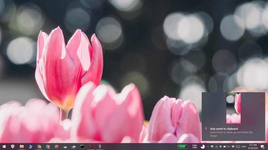 So speichern Sie Snip & Sketch-Screenshots unter Windows 10