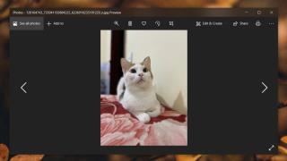 Cara membuat foto hitam putih di Windows 10