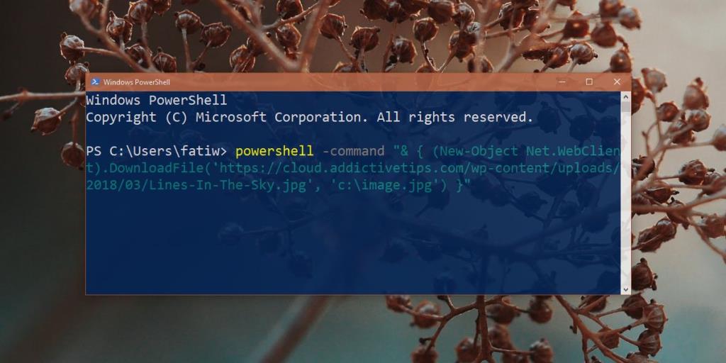 Como baixar arquivos do PowerShell no Windows 10