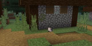 Come domare un gatto in Minecraft