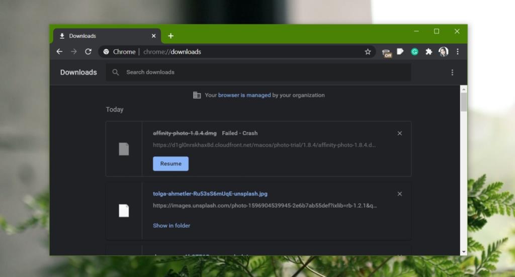 Come aprire il file crdownload su Windows 10