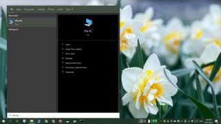 Como adicionar cores de destaque e tema escuro à Pesquisa do Windows no Windows 10