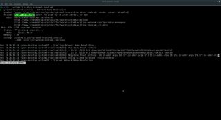 Cara membersihkan cache DNS di Linux