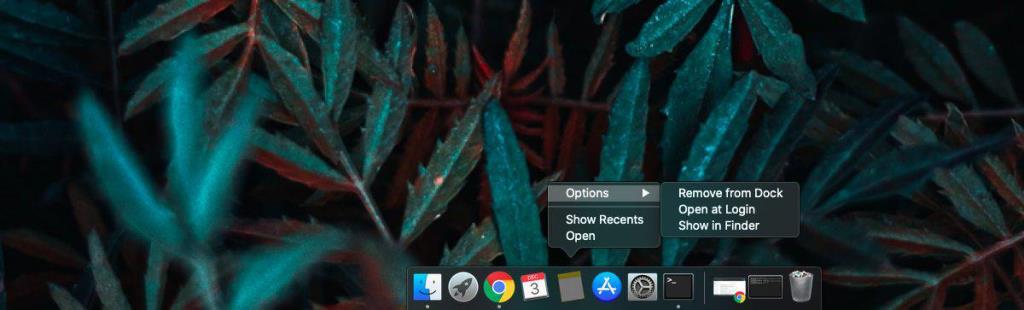 วิธีล็อค Dock บน macOS