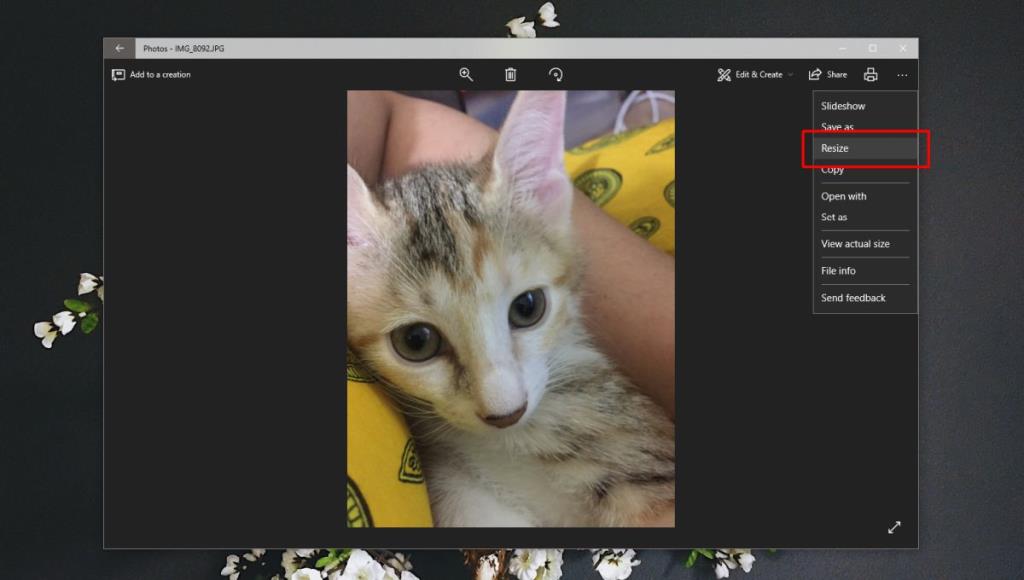 如何在 Windows 10 上的照片應用程序中調整照片大小