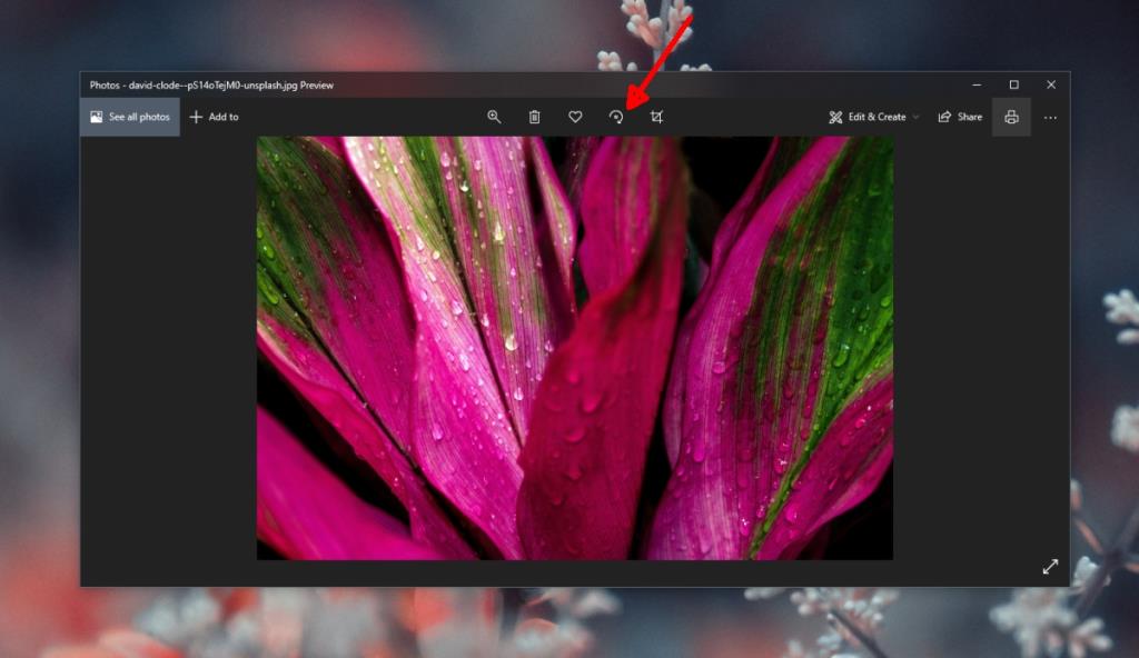 Gambar di Windows Photo Viewer Tidak Bisa Diputar (SOLUSI)