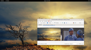 Cómo usar la aplicación de captura de pantalla Shutter en Linux