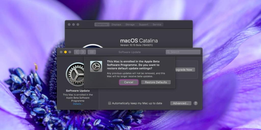 Como mudar do macOS Catalina beta para o macOS Catalina estável