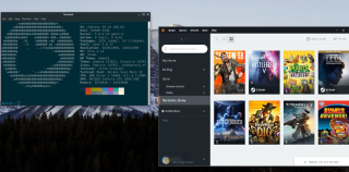 Cara menggunakan EA Origin di Linux