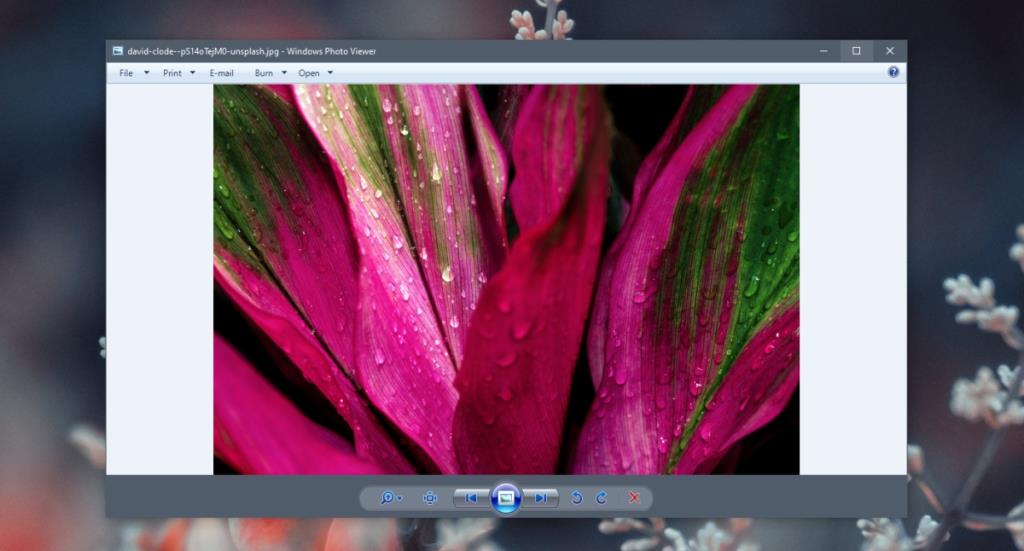 Gambar di Windows Photo Viewer Tidak Bisa Diputar (SOLUSI)