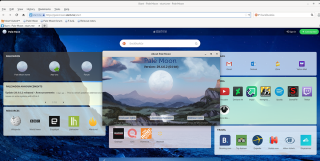 Come usare il browser Pale Moon su Linux