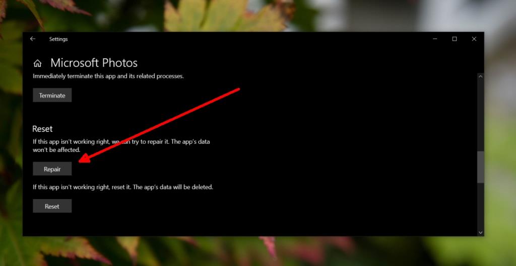 Foto Windows Crash Saat Mencetak – Inilah FIXnya