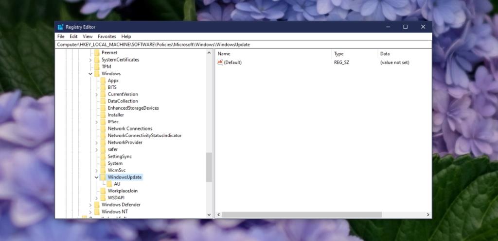 Cara memperbaiki Beberapa pengaturan dikelola oleh organisasi Anda di Windows 10