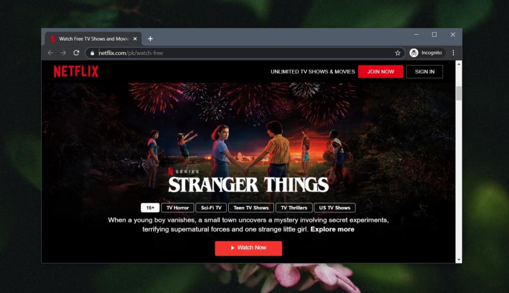 Como assistir programas gratuitos da Netflix