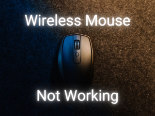 O mouse sem fio não funciona no meu computador (FIXO)